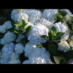 Meet your Posher, Becky